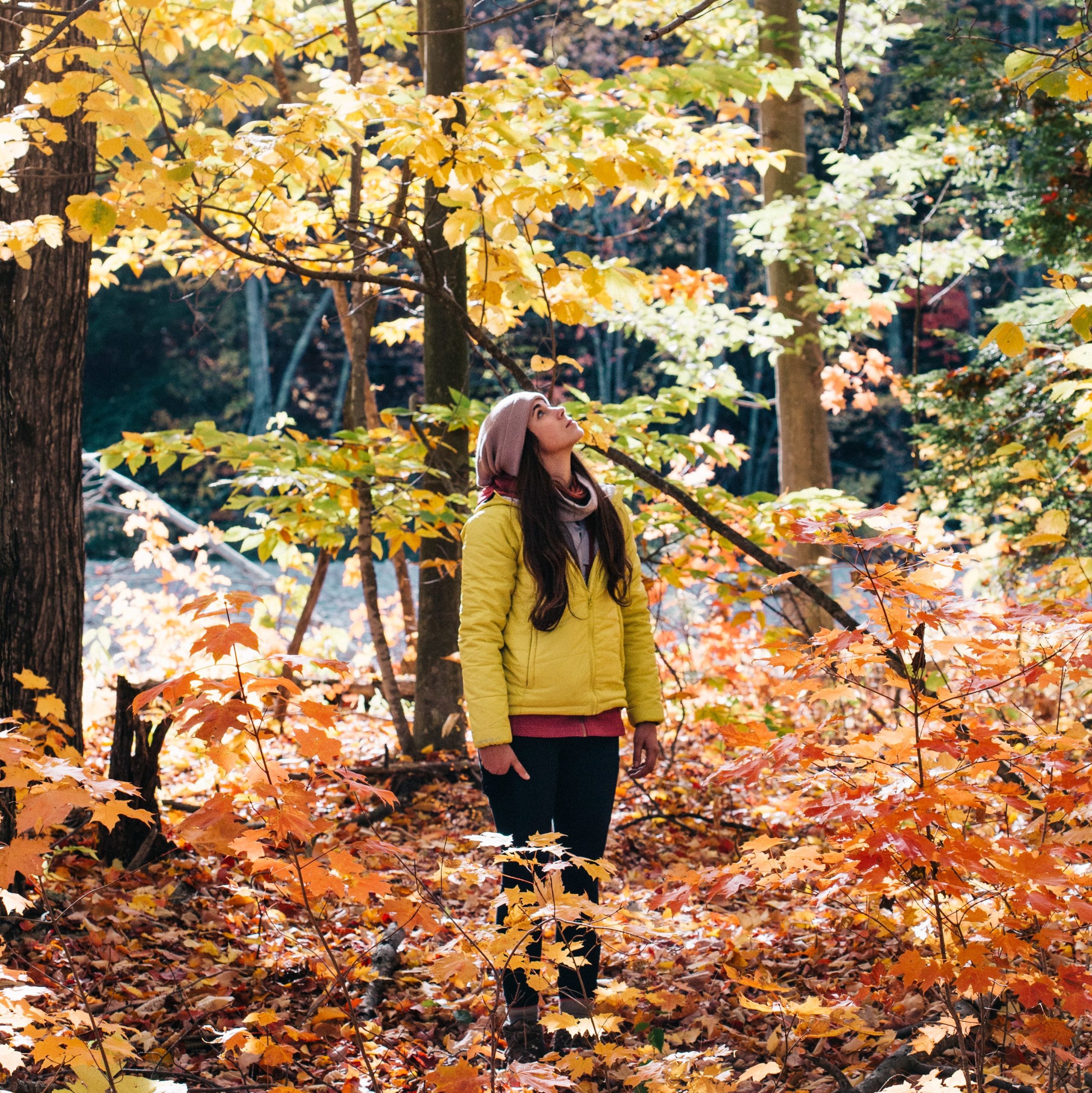 Autumn Self Care Activity: Take a walk in nature - Andrews and Associates Counseling | Therapy in Manhattan, Kansas