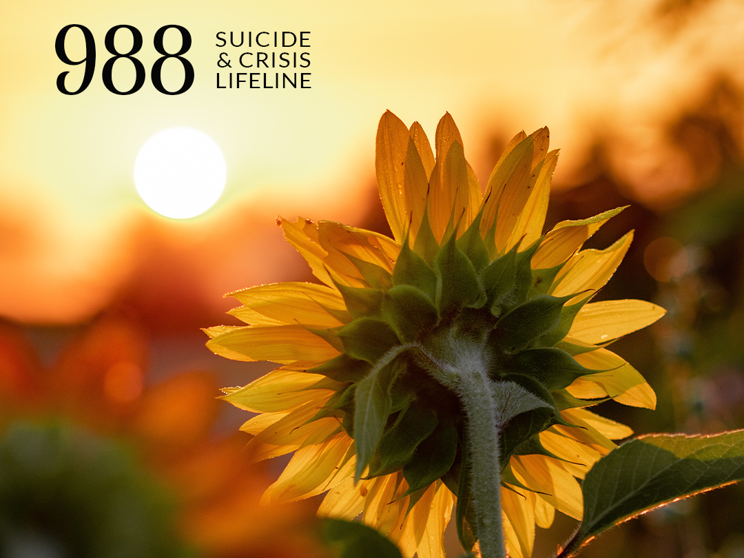 988 mental health crisis lifeline kansas sunflower of hope